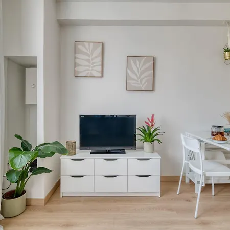 Appartement Cosy T2 Centre Blagnac